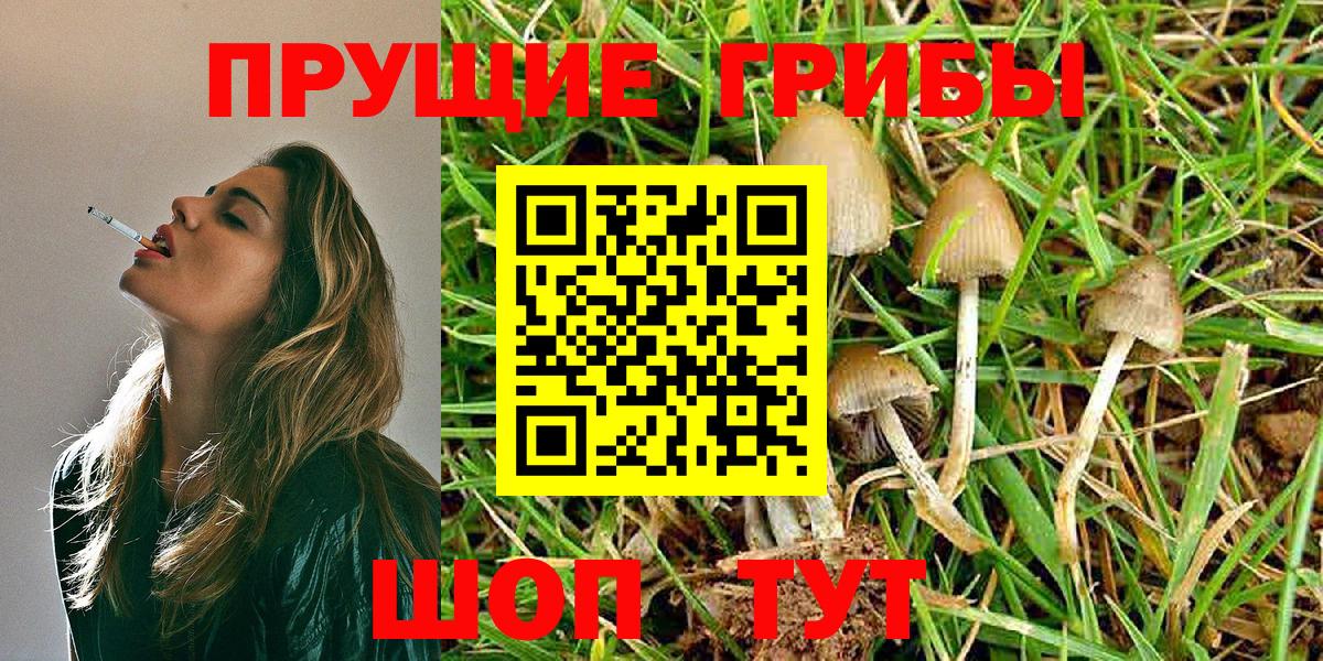 Дзержинский  Галлюциногенные грибы MAGIC MUSHROOMS  Вход с VPN 