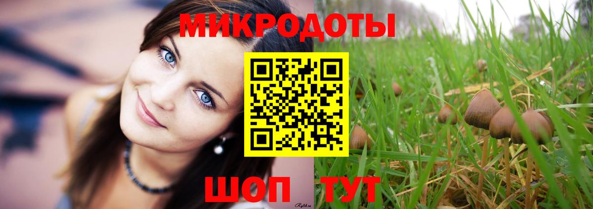 Галлюциногенные грибы прущие грибы Дзержинский